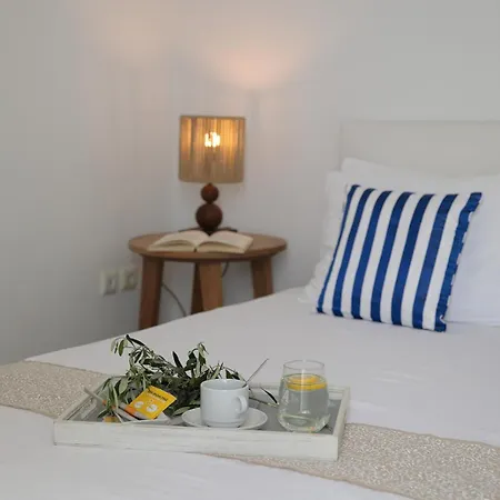 Apartamento Ippokampos Beachfront Naxos City
