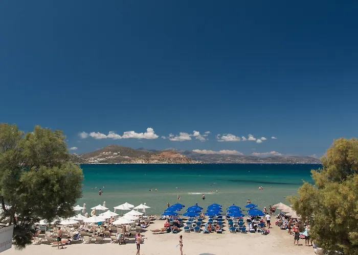 דירה Ippokampos Beachfront *